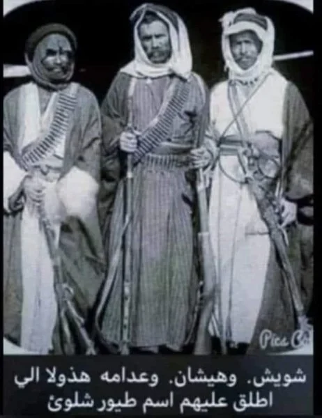 IMG_2488.webp IMG_2488.webp