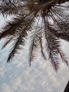 IMG_20230831_053438.jpg