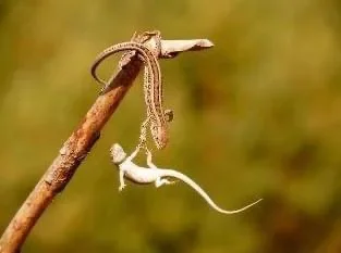 IMG_3244.webp IMG_3244.webp