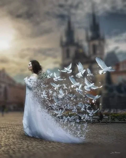 IMG_3290.webp IMG_3290.webp