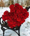ورد احمر 1 (1).jpg ورد احمر 1 (1).jpg