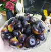 IMG-20230928-WA0006.jpg