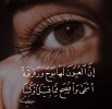 ٢٠٢٣١٠١٢_٢١٥٤٣٣.jpg