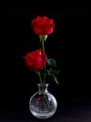 feaa2ec43c7eb8fb16b4423bb69e2a44.jpg