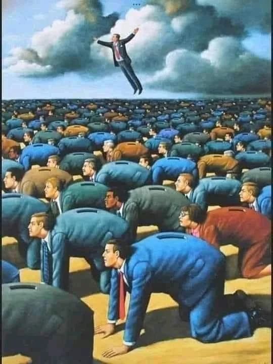 IMG_4241.webp IMG_4241.webp