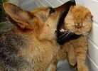 IMG_4242.jpeg
