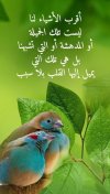f079c7075494c02bda8e59d23bd0dd35.jpg