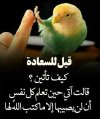 e5076a3d2097e94d994661f682cd4b34.jpg