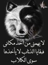 7fe6e39f56095d24333dfd5cb26758fb.jpg