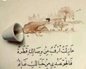 ٢٠٢٣١١٠٨_١٥٢٥١٤.jpg