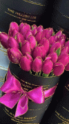 12ea5bd09b9a7c5df4d874919b742af1.gif