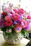 3d70397a1131c7d4be7eff0f6039dd38.jpg