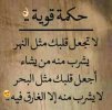 8cf9fe788e6528d9f8e32cc640e83c60.jpg