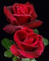 FB_IMG_1700588610777.jpg