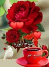 FB_IMG_1700590630932.jpg