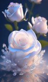 FB_IMG_1700945347613.jpg