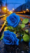 7b4a7f89f54ed4043b1e076219696633.jpg