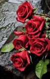 35d50659bb24f5cbc3af0a8d22abe864.jpg