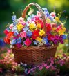 3c934cb2a651657f04de4ea12bb8dcc5.jpg