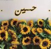 Screenshot_٢٠٢٣١٢٠٥_٠٨١٠٠٣_Google.jpg
