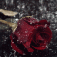 Eurydice