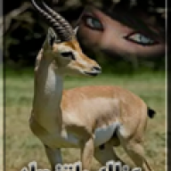غزاله ماتنصاد