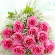 فراشه