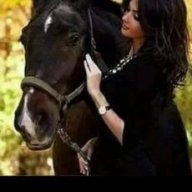 المهره الاصيله