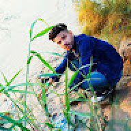 علش ال ذياب